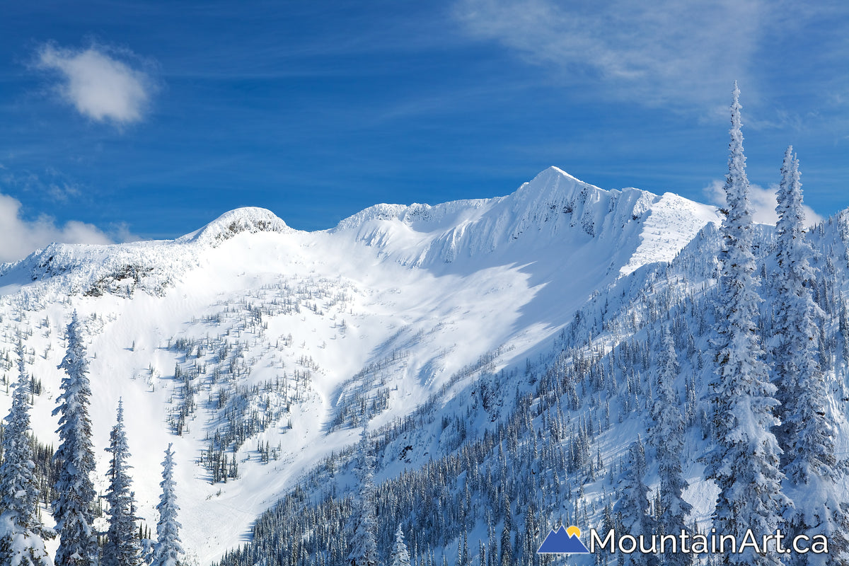 Ymir Bowl Snowland