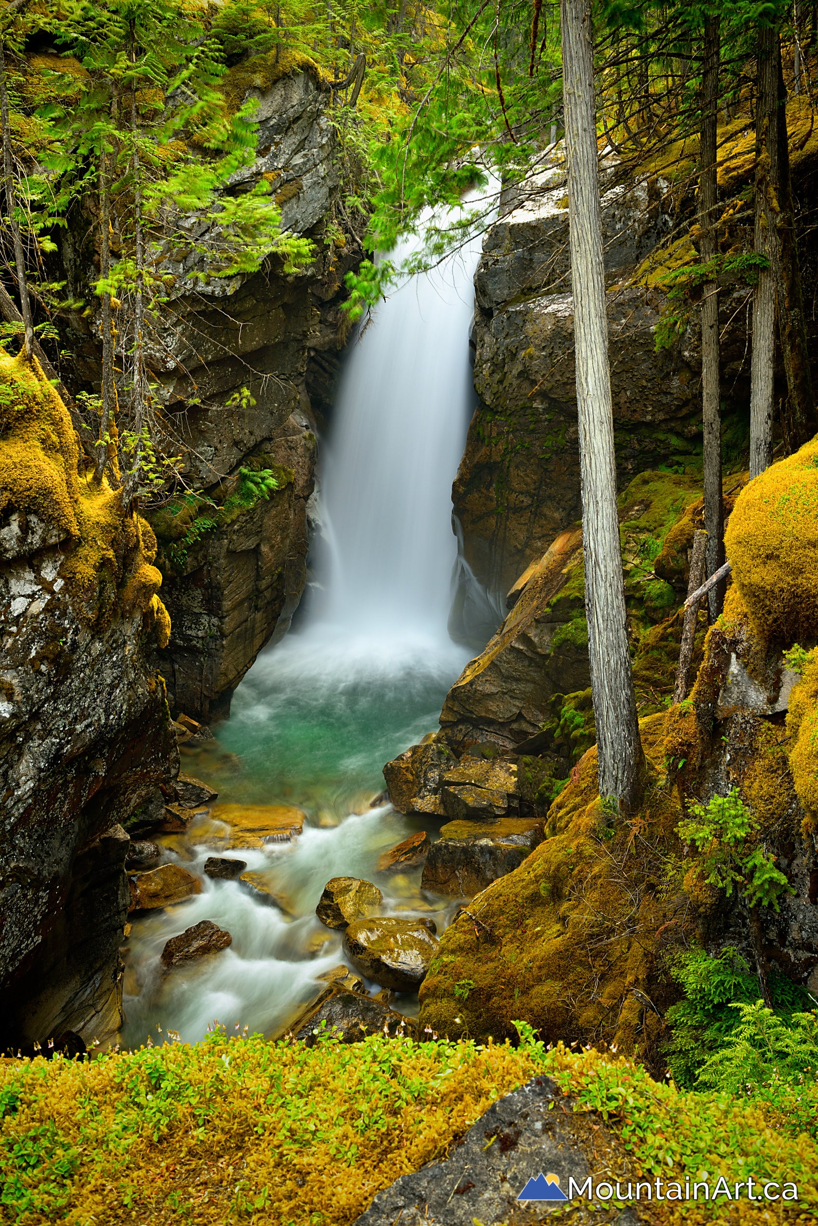 Upper Nemo Creek waterfall and canyon, Slocan Lake, BC. – Mountain Art ...